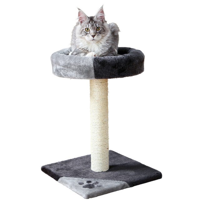 Tarifa Scratching Post, , on-hover image number 1