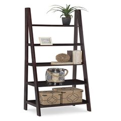 Acadia Ladder Bookshelf