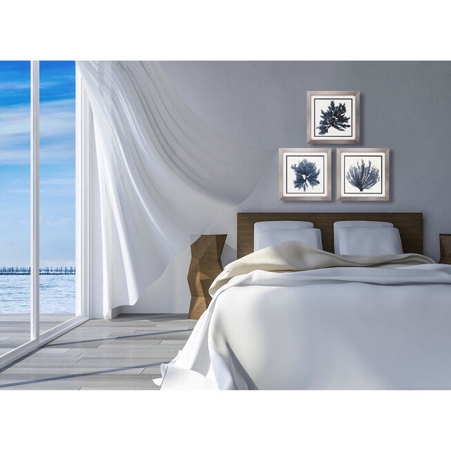 Coastal Seaweed Framed Wall Décor, Set Of 3, , on-hover image number null