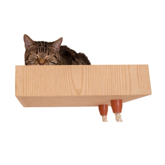 Real Wood Wall Series: Cat Soft Ladder, , alternate image number null