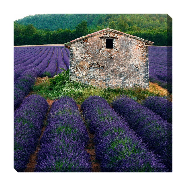 All Weather All Season Outdoor Canvas Art, MULTI, hi-res image number 0