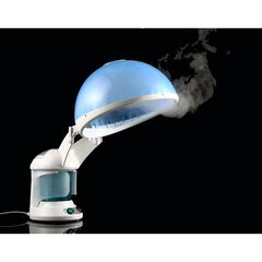 Hot Mist Nano Facial And Hair Steamer