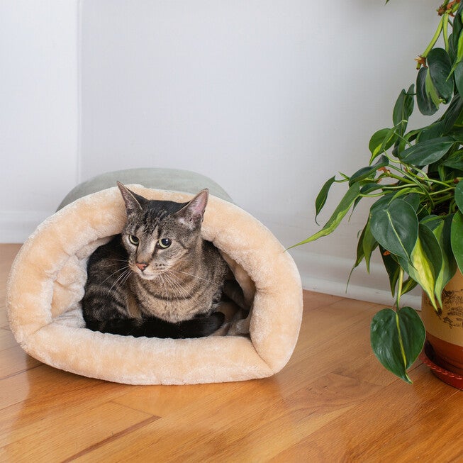 Sleep Cat Bed Pet Small Dot Bed, , alternate image number 3