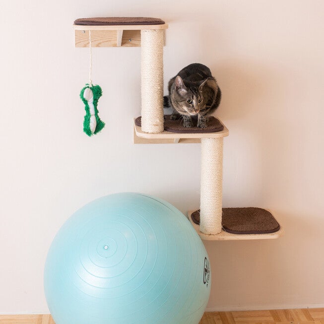 Real Wood Wall Series: Cat Dog Pet Steps, , on-hover image number 1