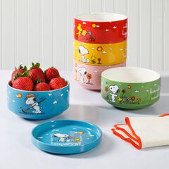 Snoopy’s Garden Patch 6-Piece Stackable Bowl Set