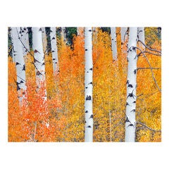 All Weather All Season Outdoor Canvas Art