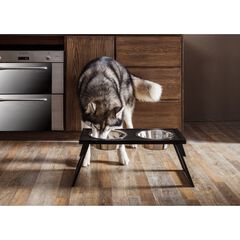 HiLo™ Pet Dog Raised Double Diner