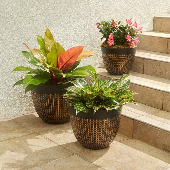 Set of 3 Waffle-Finish Planters, BRONZE, hi-res image number null