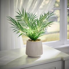Pre-Lit Palm Tree