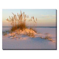 Sea Oats & Sand Outdoor Canvas Art