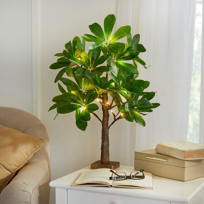 23½"H Pre-Lit Tabletop Ficus Tree, GREEN, hi-res image number 0