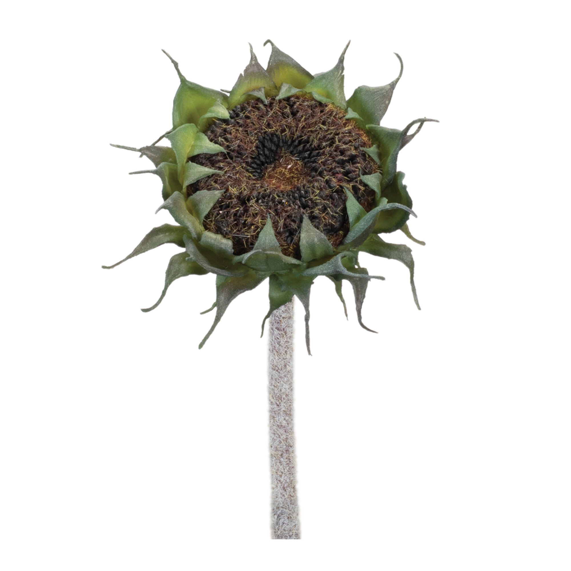Brown Sunflower Stem (Set of 6), BLACK/GREEN, hi-res image number 0