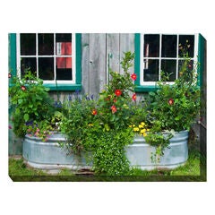 All Weather All Season Outdoor Canvas Art