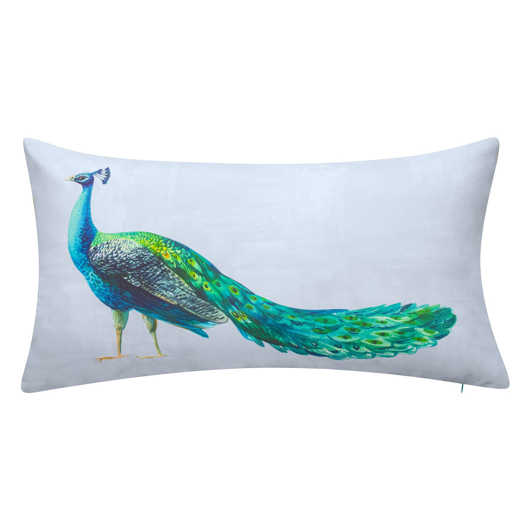 Dramatic Peacock Decorative Pillow 14x26, 4398171 | Woman Within