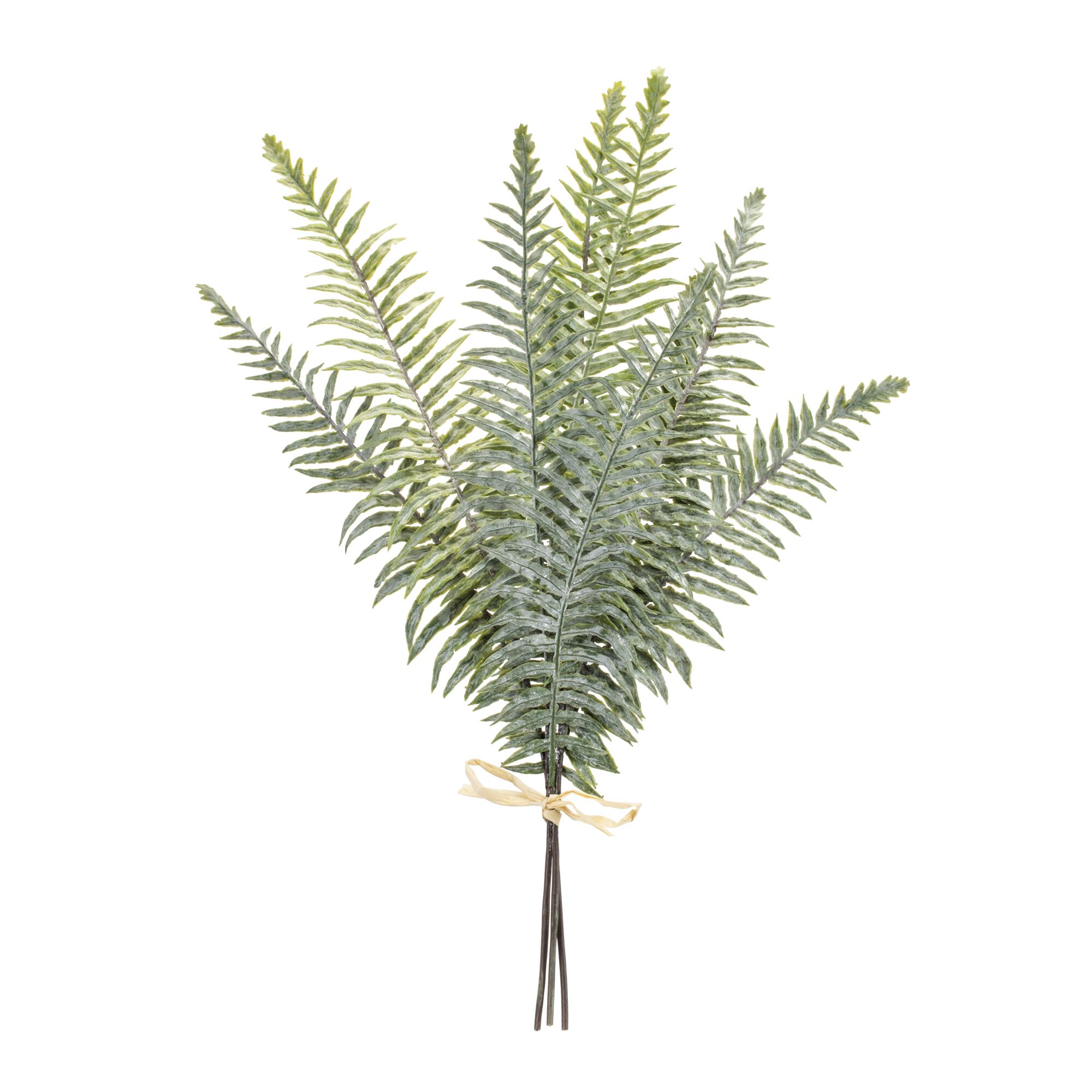 Fern Foliage Bundle (Set of 2), GREEN, hi-res image number 0
