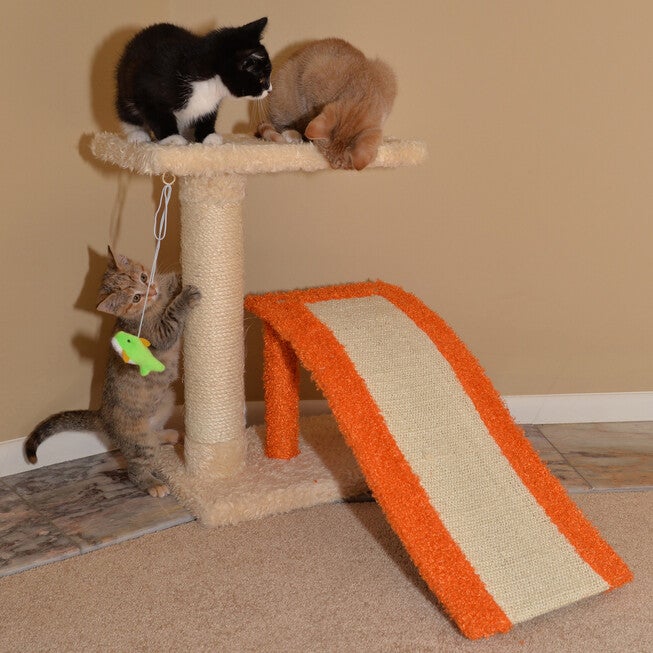 Two-Level Platform 27 inches Real Wood Cat Scratcher With Sisal Carpet Ramp, , on-hover image number null