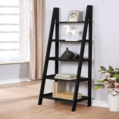 Acadia Ladder Bookshelf
