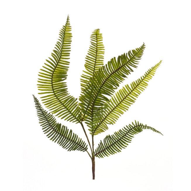 Varigated Fern Foliage Spray (Set Of 6), GREEN, hi-res image number null