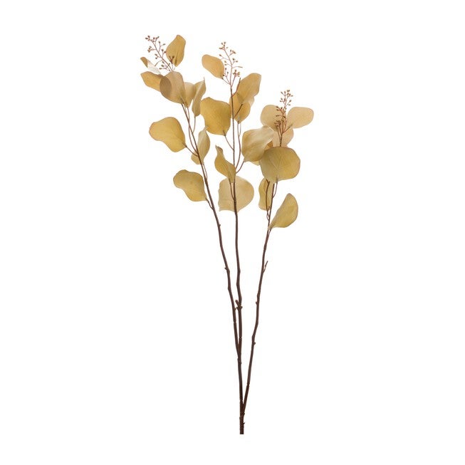 Seeded Eucalyptus Stem (Set of 6), BROWN, hi-res image number null