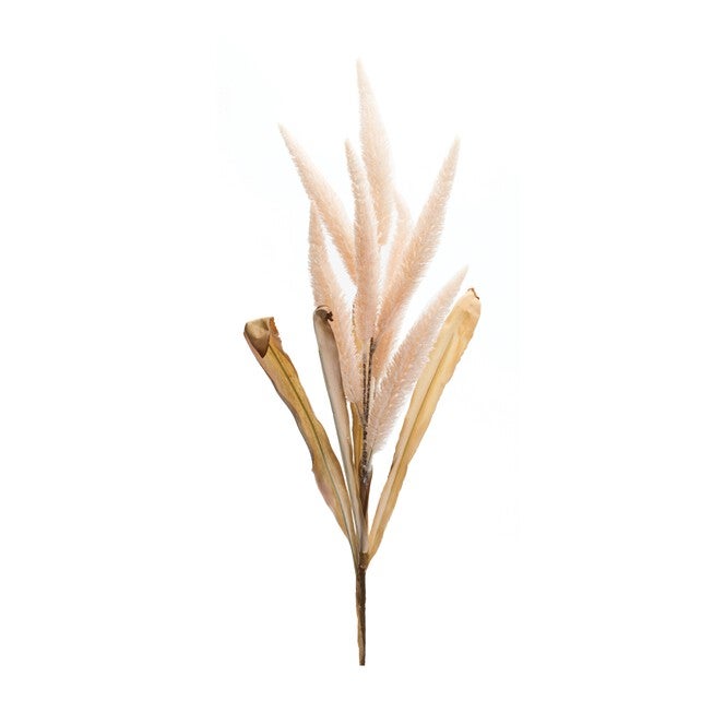 Foxtail Stem (Set of 2) 35.5 inchesH Polyester, PINK/BEIGE, hi-res image number null