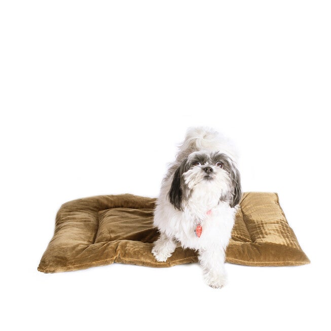 Pet Bed Mat, Dog Crate Soft Pad With Poly Fill Cushion, Medium Sage Green, , alternate image number 5