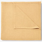 BH Studio Cotton Blanket, BUTTER, hi-res image number null