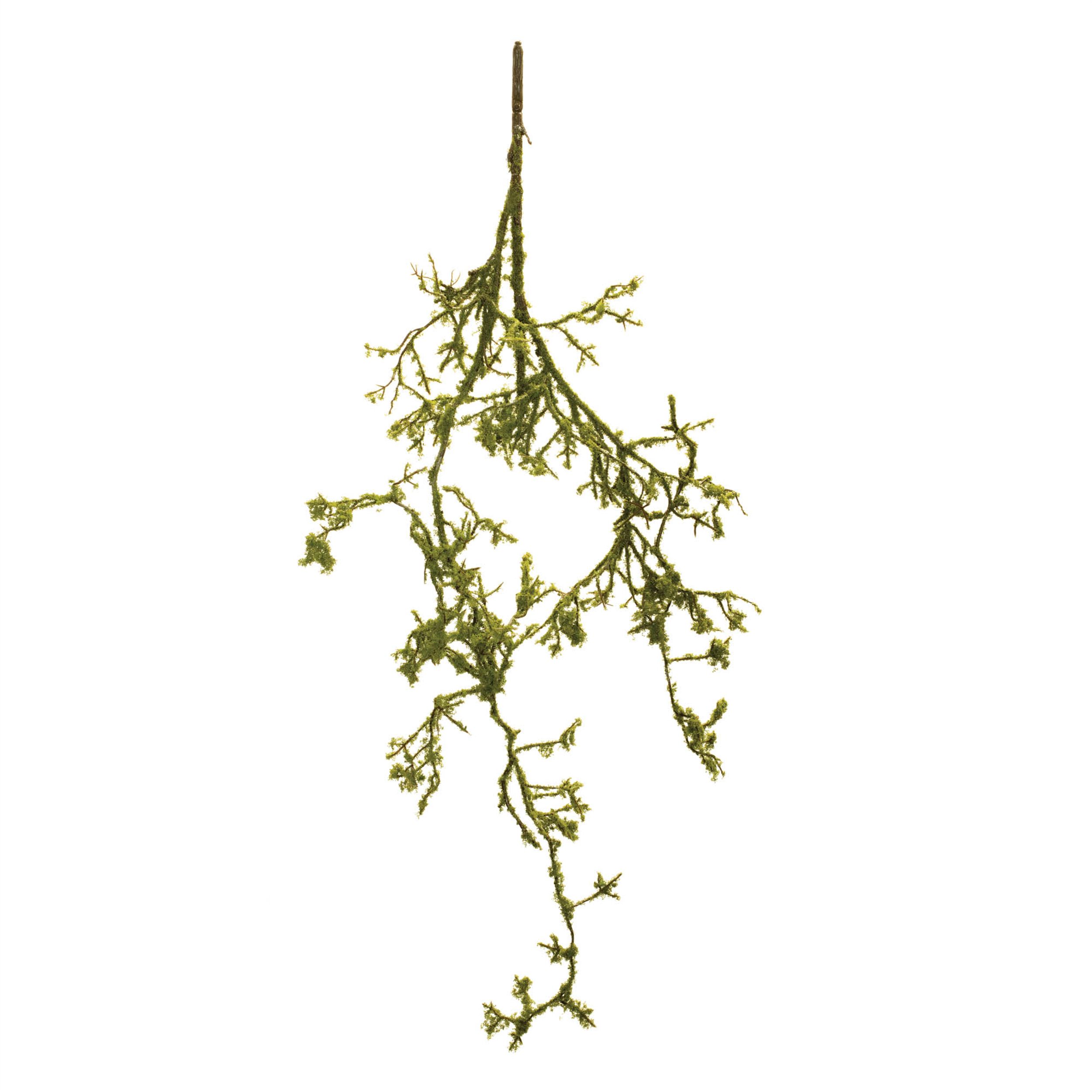 Mossy Twig Branch Vine Set of 6, GREEN BROWN, hi-res image number 0