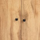 Rossin Wood 2-Door Entryway Shoe Storage Cabinet W Top Shelf Furniture, , alternate image number null