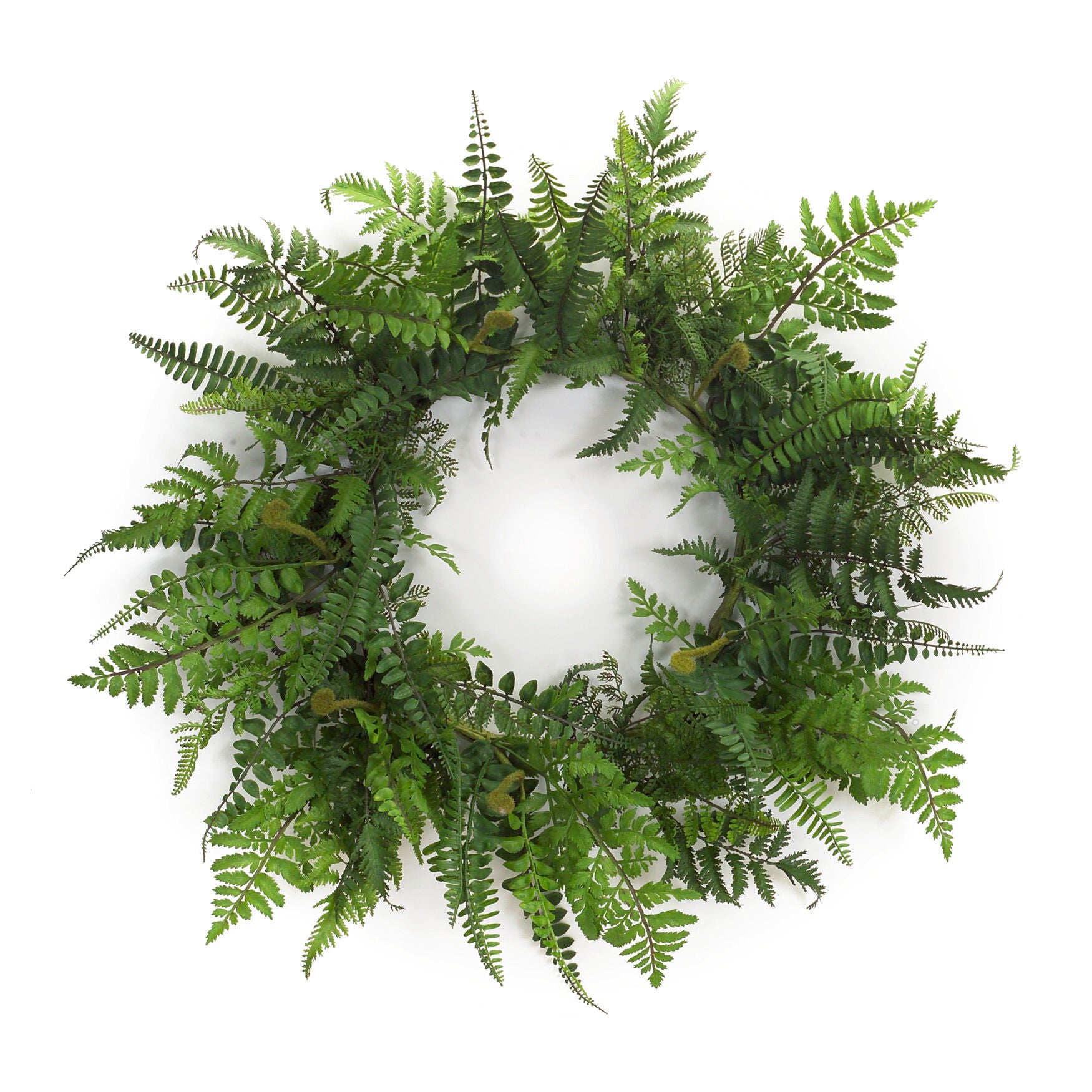 Mixed Fern Grapevine Wreath 24 inchesD, GREEN, hi-res image number 0