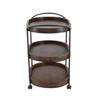 Brown Pine and Metal Traditional Bar Cart, 30x25x16, , alternate image number null