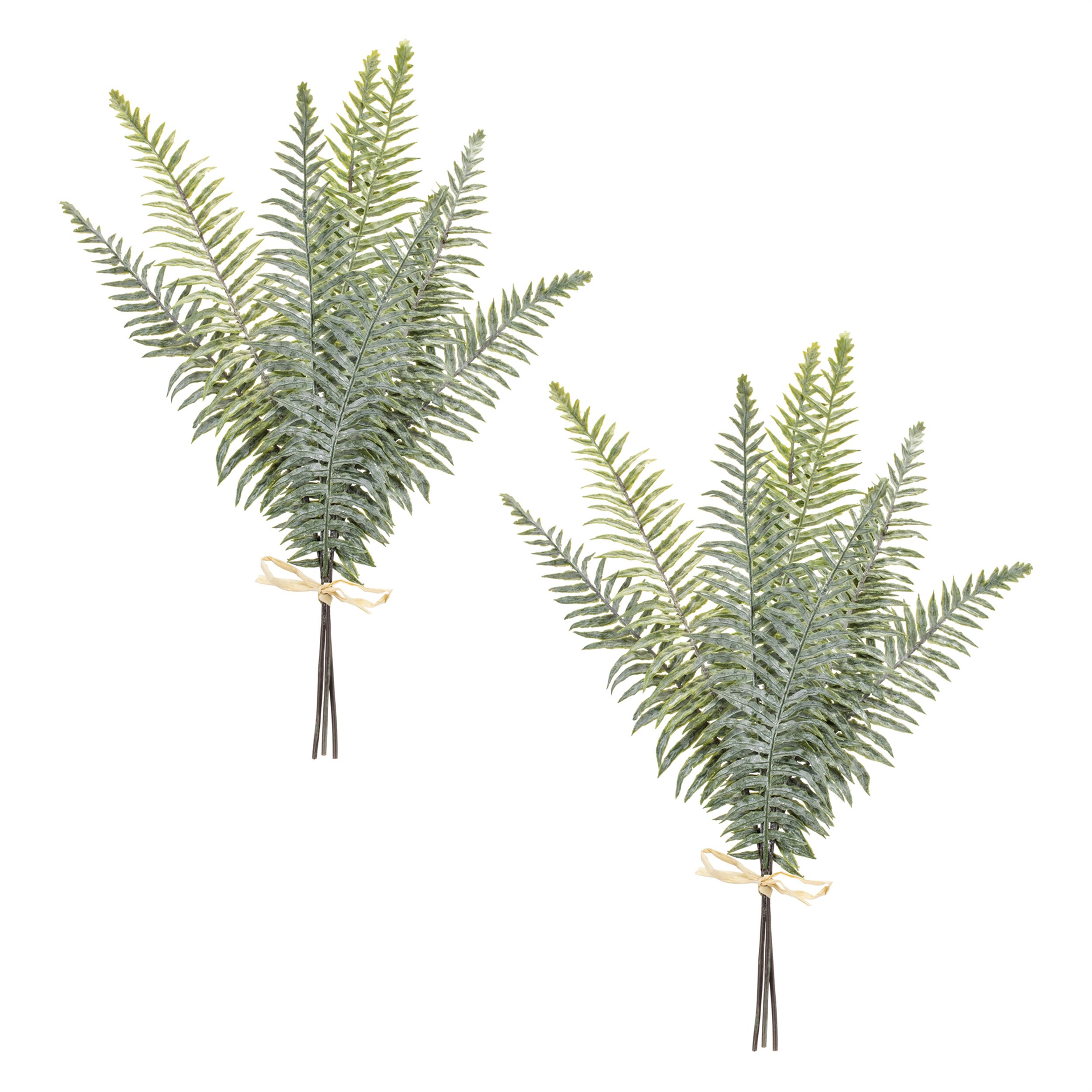 Fern Foliage Bundle (Set of 2), GREEN, alternate image number 1