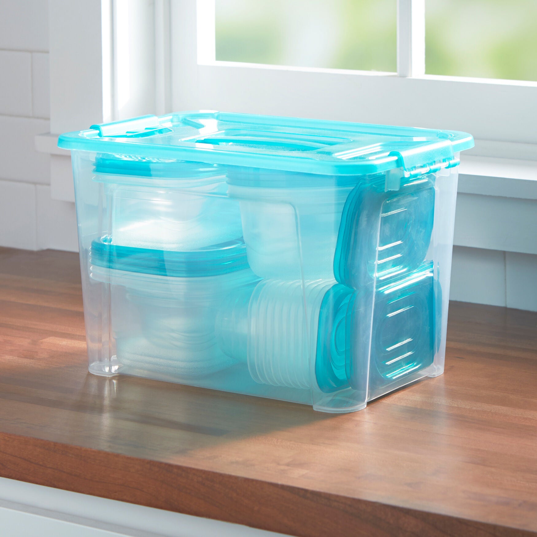 Protea Floral Stem Set of 2, , on-hover image number 1