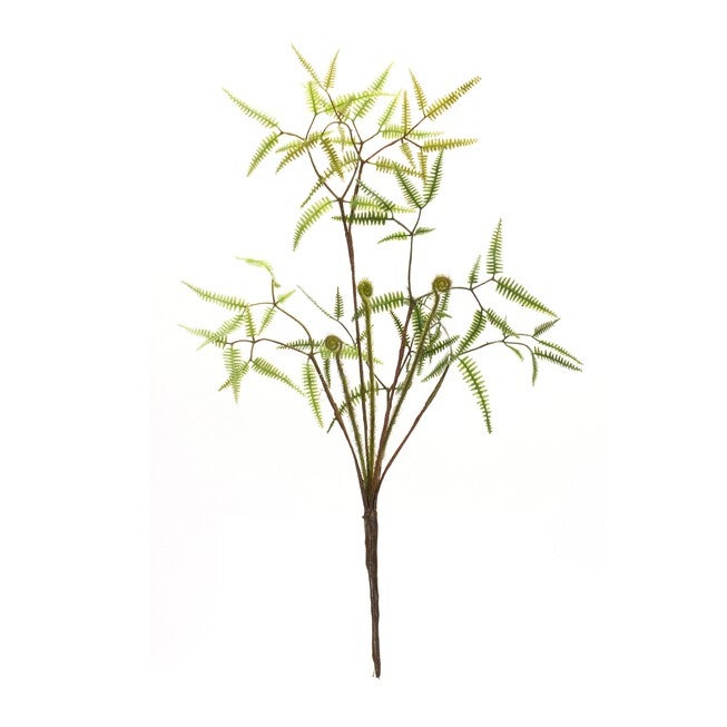 Mini Fern Bush (Set of 6) 19 inchesH Plastic, GREEN/BROWN, alternate image number null