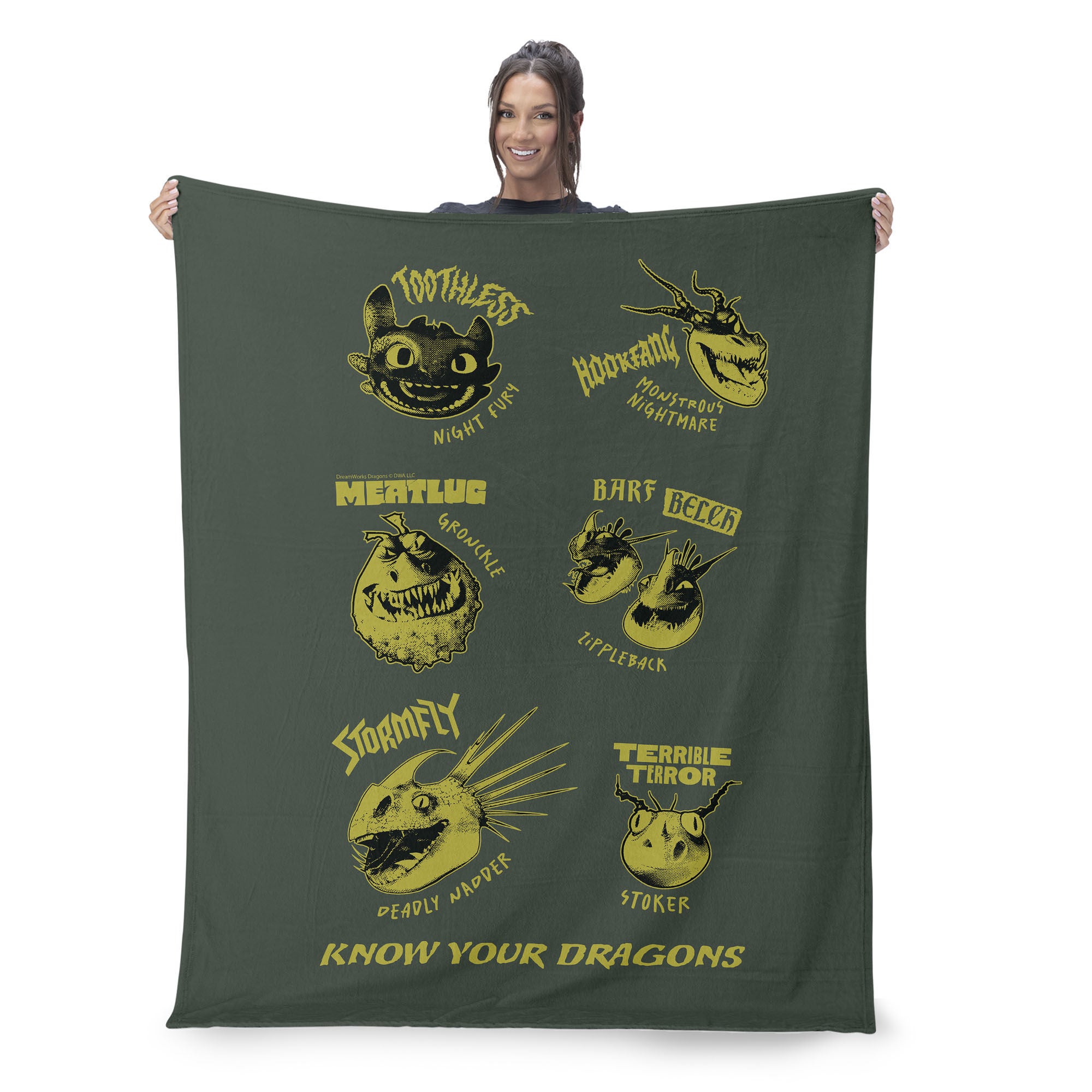 How to Train Your Dragon Know Your Dragons Silk Touch Throw Blanket 50x60 inches, KNOW YOUR DRAGONS, on-hover image number 1