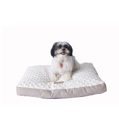Dog Crate Mat With Carry Handle