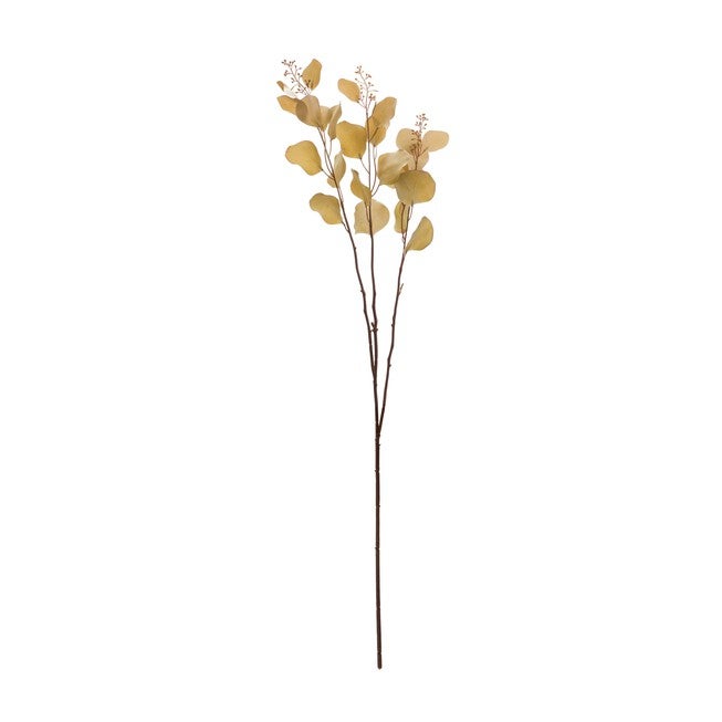Seeded Eucalyptus Stem (Set of 6), BROWN, alternate image number null