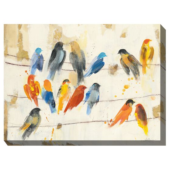CHITTER CHATTER OUTDOOR ART 40X30, MULTI, hi-res image number null