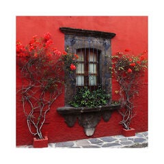 All Weather All Season Outdoor Canvas Art