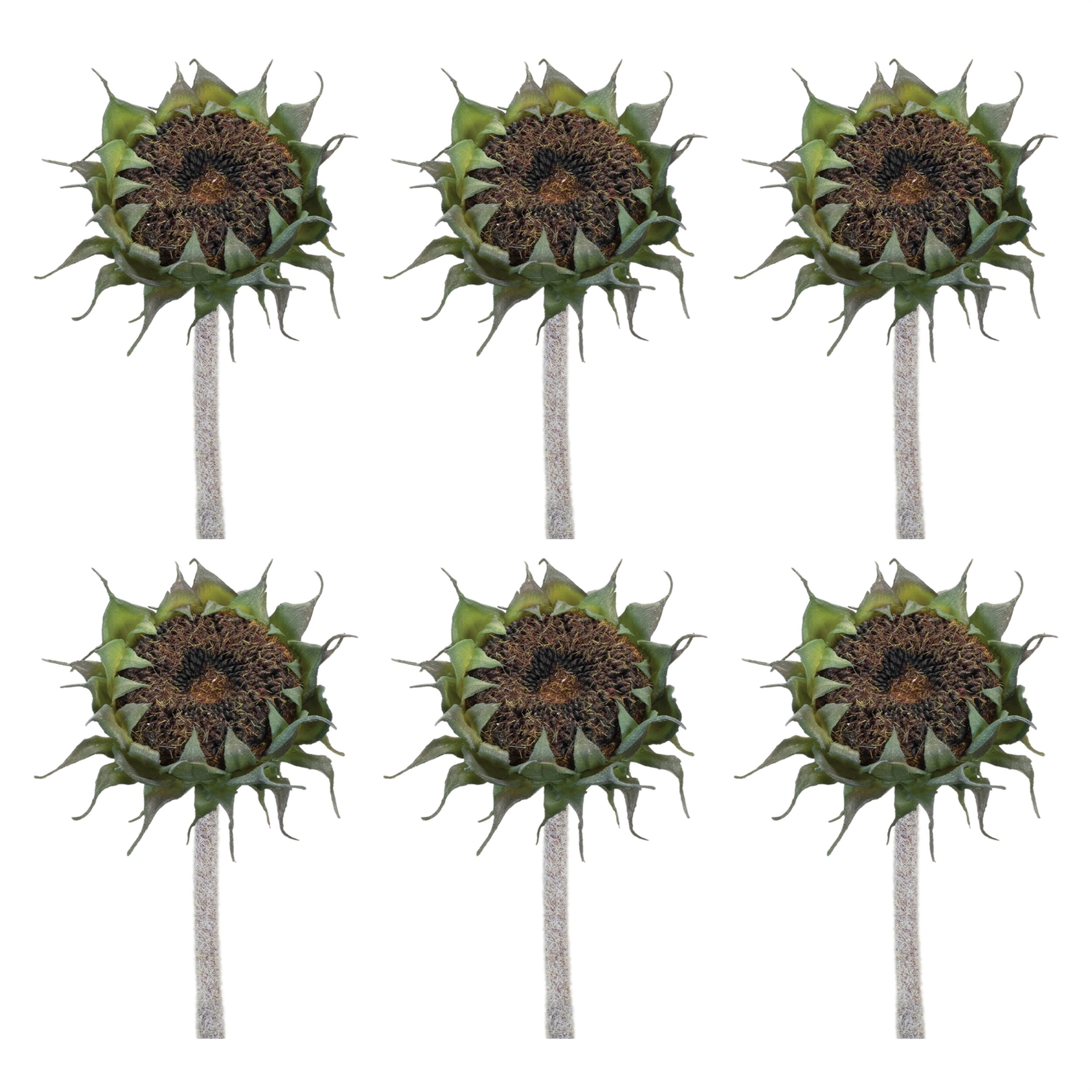 Brown Sunflower Stem (Set of 6), BLACK/GREEN, alternate image number 2