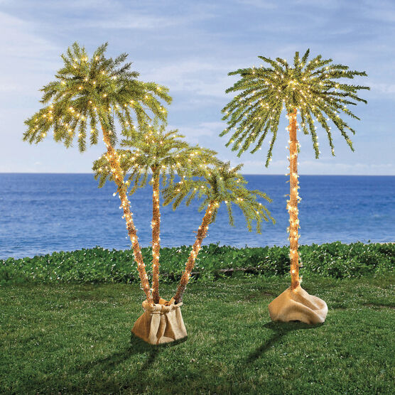 Pre-Lit 3-Branch Palm Tree, LED