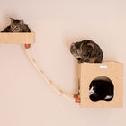 Real Wood Wall Series: Cat Soft Ladder, , alternate image number null