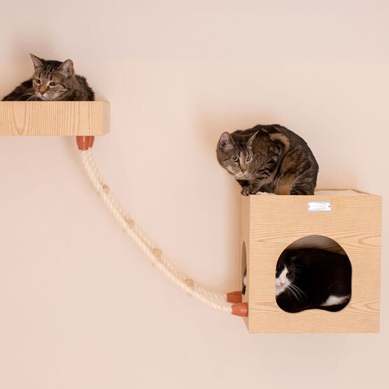 Real Wood Wall Series: Cat Soft Ladder, , alternate image number null