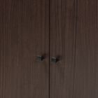 Rossin Wood 2-Door Entryway Shoe Storage Cabinet W Top Shelf Furniture, , alternate image number null