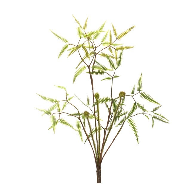 Mini Fern Bush (Set of 6) 19 inchesH Plastic, GREEN/BROWN, alternate image number null