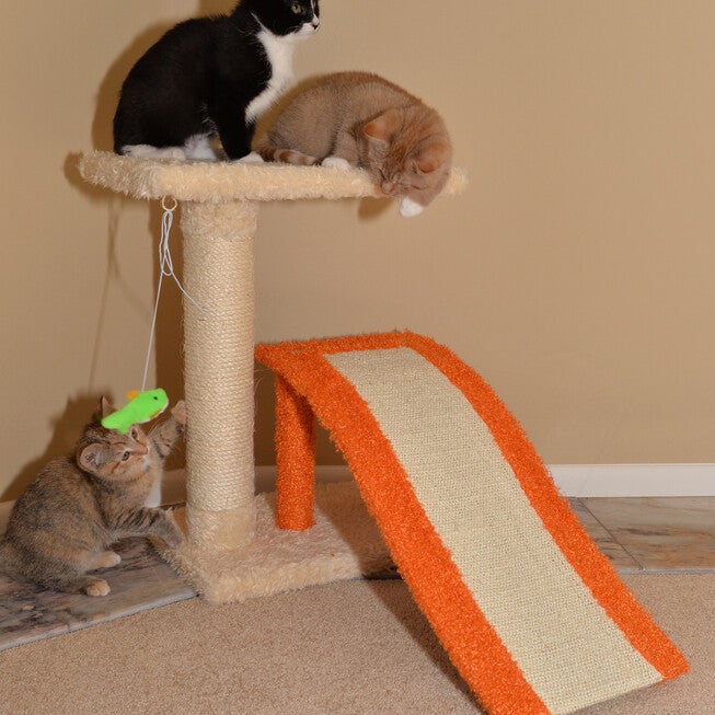 Two-Level Platform 27 inches Real Wood Cat Scratcher With Sisal Carpet Ramp, , alternate image number null