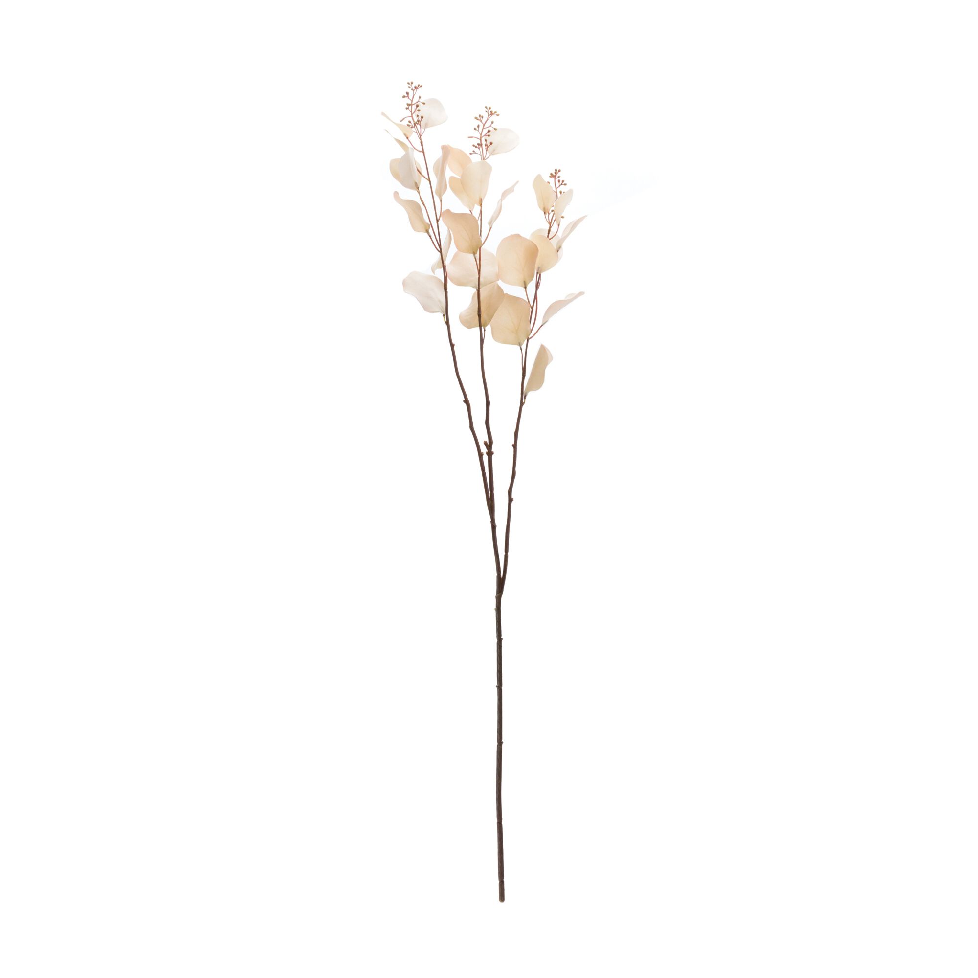 Seeded Eucalyptus Stem (Set of 6), BEIGE, alternate image number 1