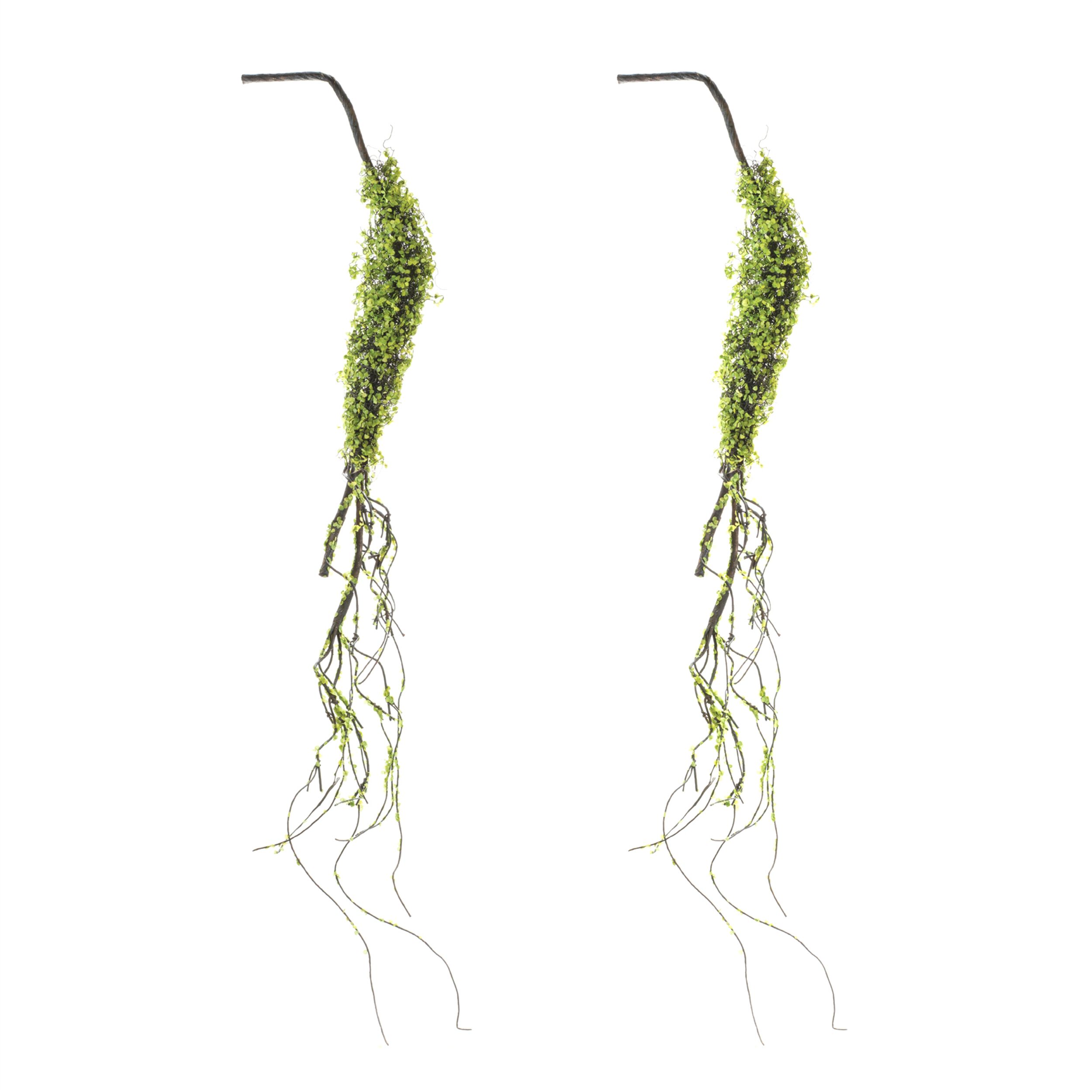 Moss Foliage Vine Branch (Set of 2), GREEN/BROWN, alternate image number 3