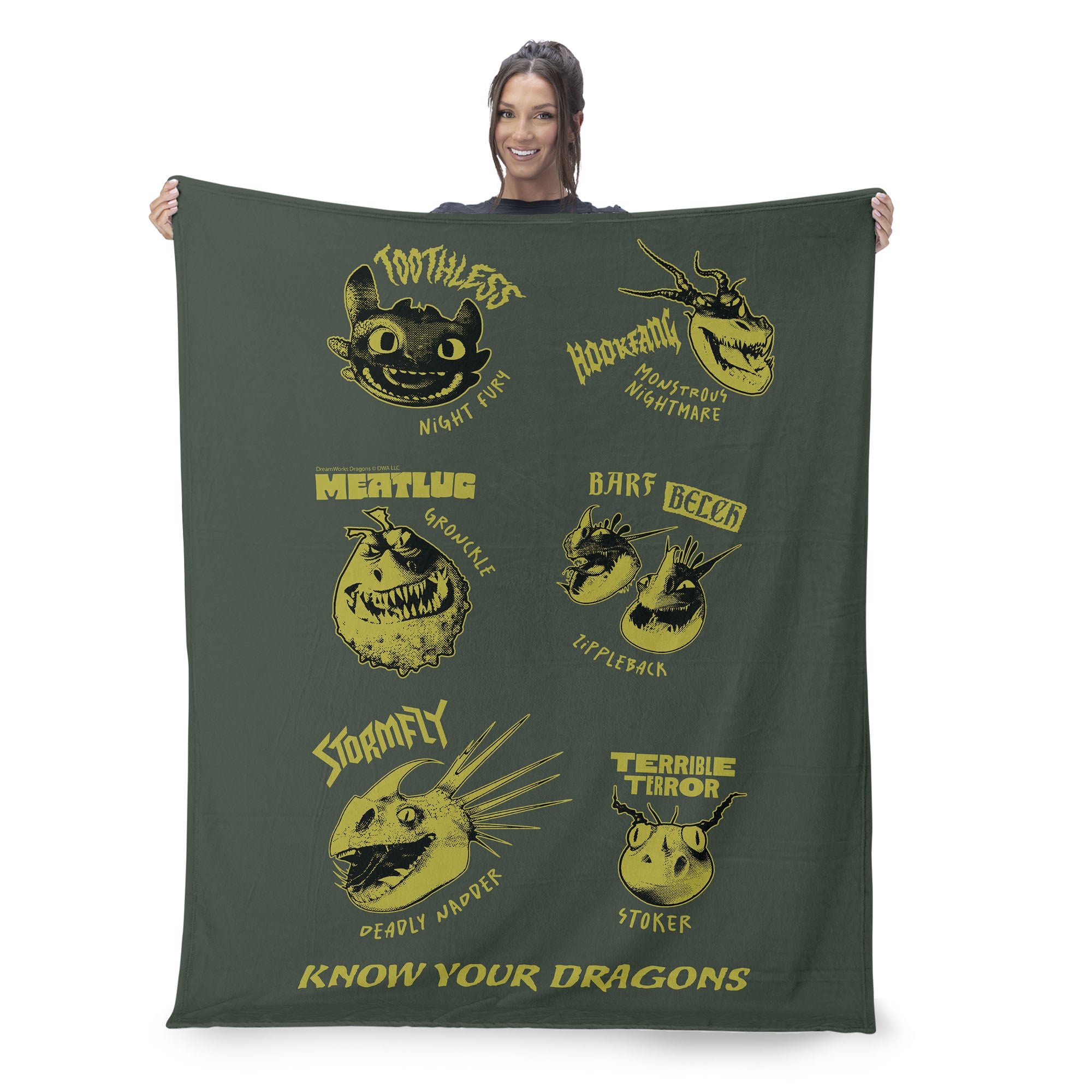 How to Train Your Dragon Know Your Dragons Silk Touch Throw Blanket 60x80 inches, KNOW YOUR DRAGONS, on-hover image number 1