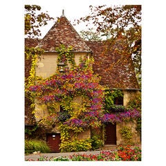 All Weather All Season Outdoor Canvas Art