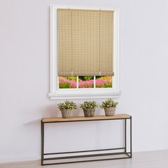Cordless Veranda Vinyl Roll-Up Blind